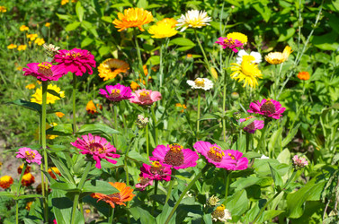 Similar image 10048989