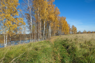 Similar image 10049014