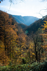 Similar image 10049090