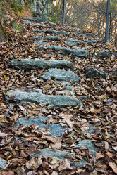 Similar image 10049092