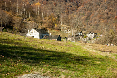 Similar image 10049094