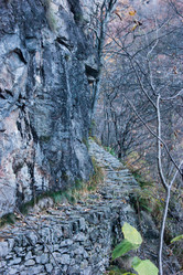 Similar image 10049096