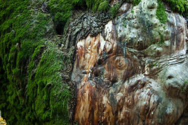 Similar image 10049097