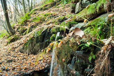 Similar image 10049098