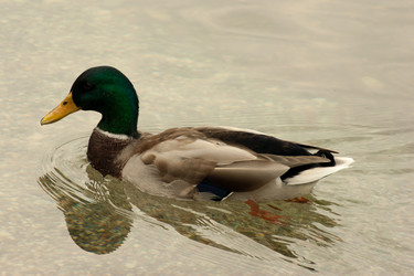 Similar image 10049103