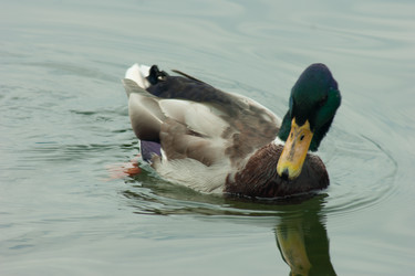 Similar image 10049105