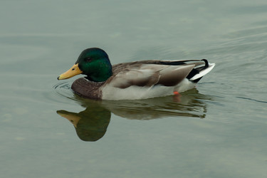 Similar image 10049106