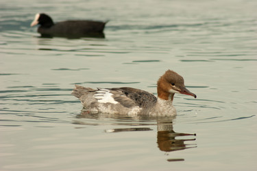 Similar image 10049107