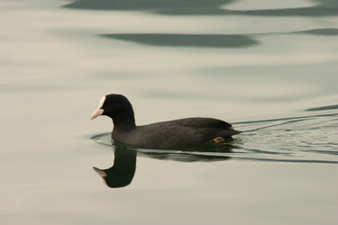 Similar image 10049109