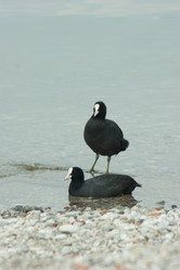 Similar image 10049111