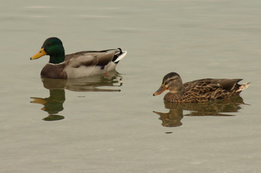 Similar image 10049112