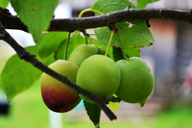 Similar image 10049115