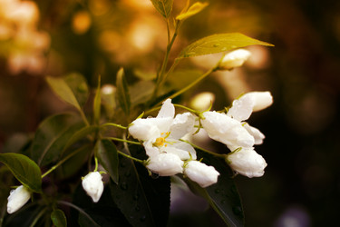 Similar image 10049122