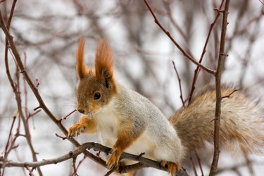 Similar image 10049123