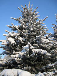 Similar image 10049135