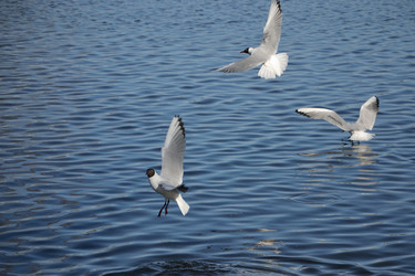 Similar image 10049139