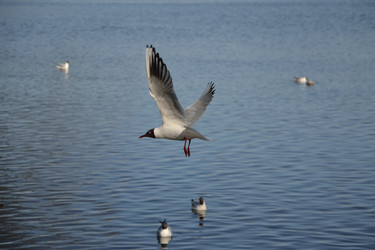 Similar image 10049140