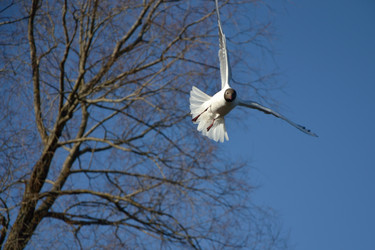 Similar image 10049141