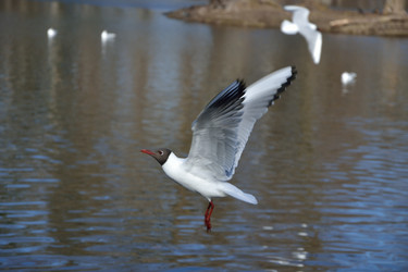 Similar image 10049143