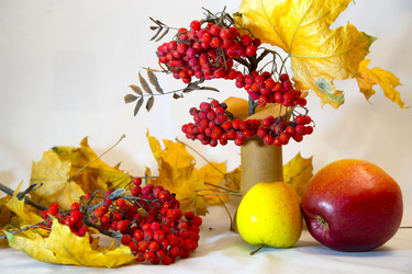 Similar image 10049169