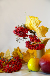 Similar image 10049170