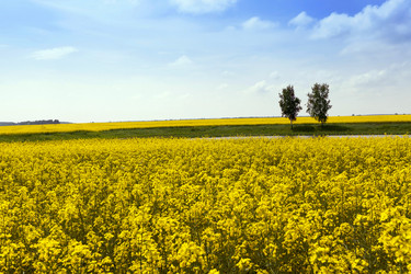 Similar image 10049174