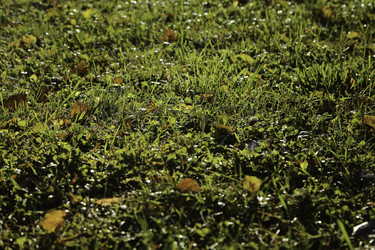 Similar image 10049186