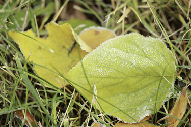 Similar image 10049187