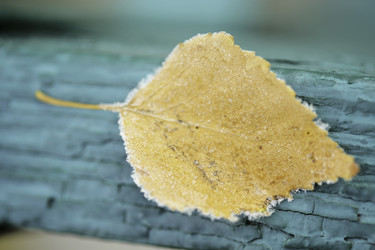 Similar image 10049188