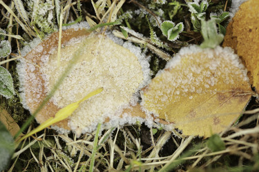 Similar image 10049189