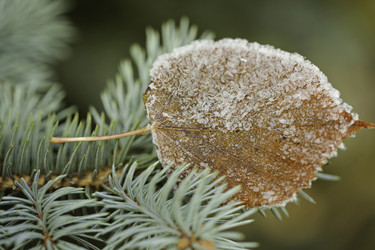 Similar image 10049190