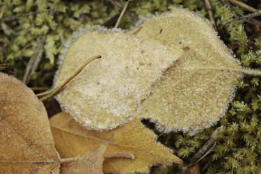 Similar image 10049191