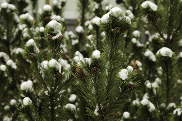 Similar image 10049192