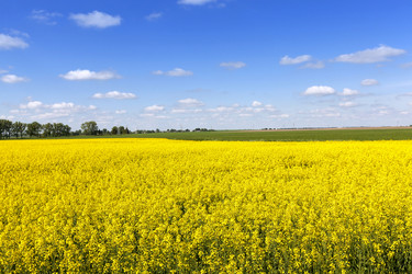 Similar image 10049202