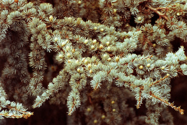 Similar image 10049215