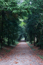 Similar image 10049225