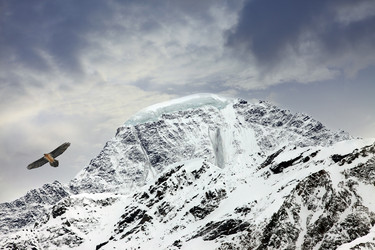 Similar image 10049341