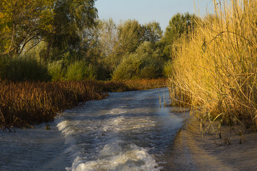 Similar image 10049374