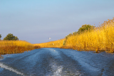 Similar image 10049376