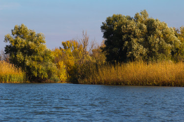 Similar image 10049385