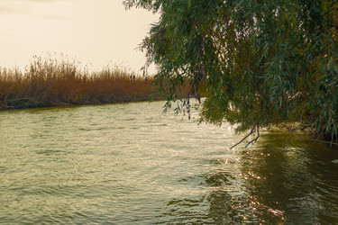 Similar image 10049386