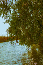 Similar image 10049387