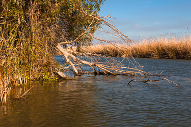 Similar image 10049388