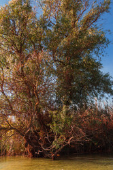 Similar image 10049389