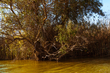 Similar image 10049390