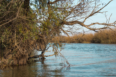 Similar image 10049391