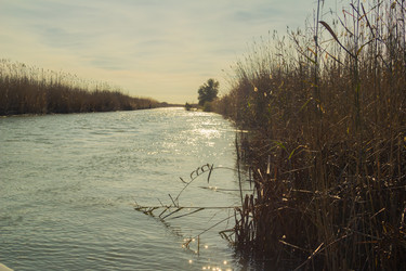 Similar image 10049392