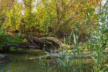 Similar image 10049394