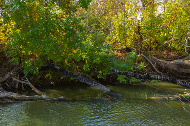 Similar image 10049395