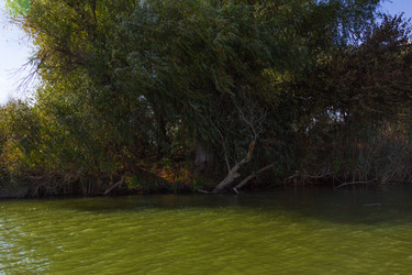 Similar image 10049418